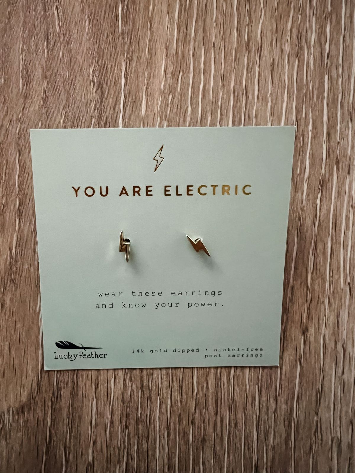 Inspirational Earrings