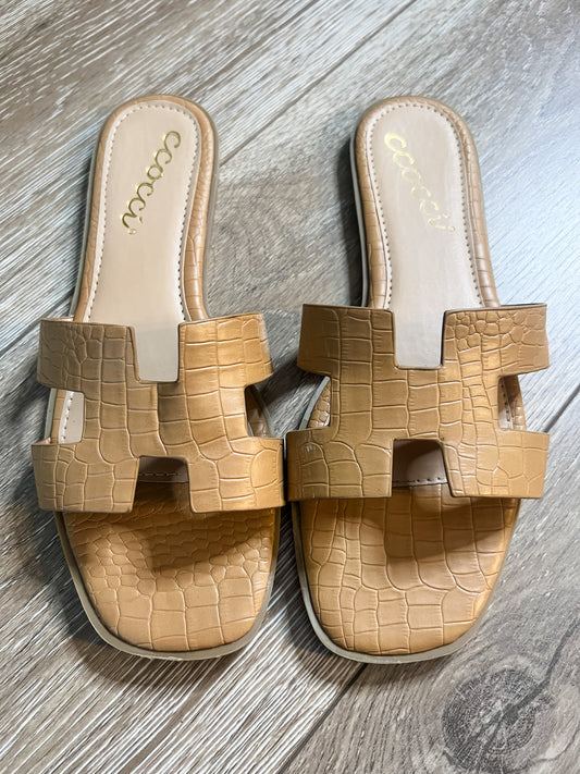 The Camel Croc Slides